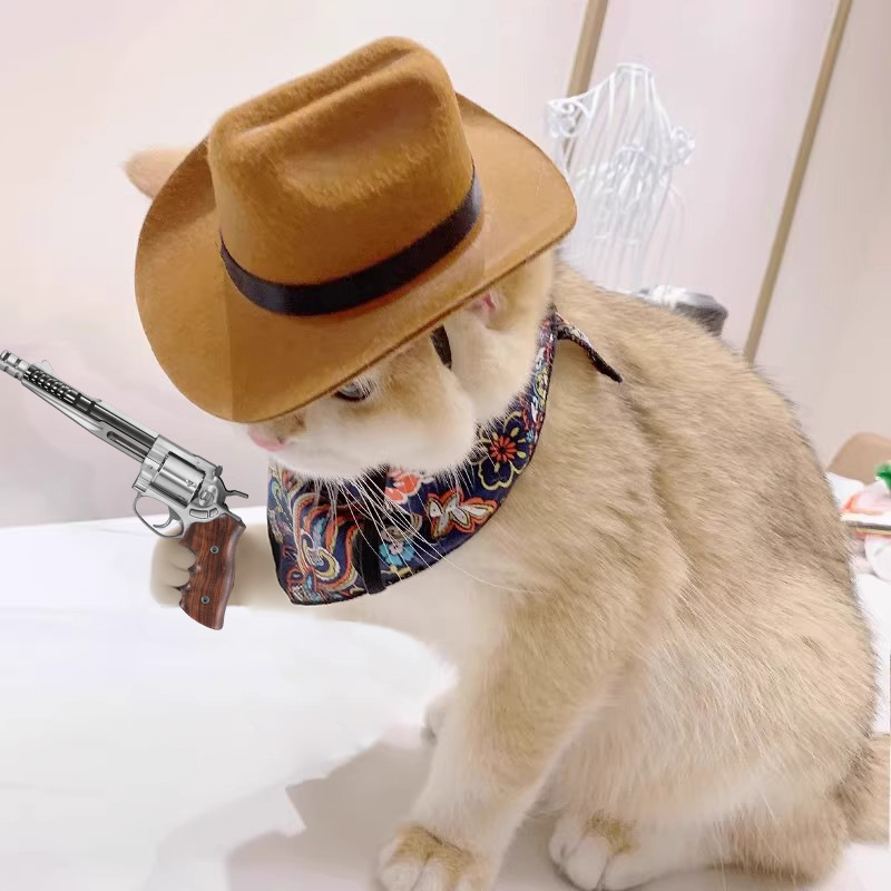 Cowboy Hat Straw - ﻿ Ковбойская шляпа для кошек, аксессуары